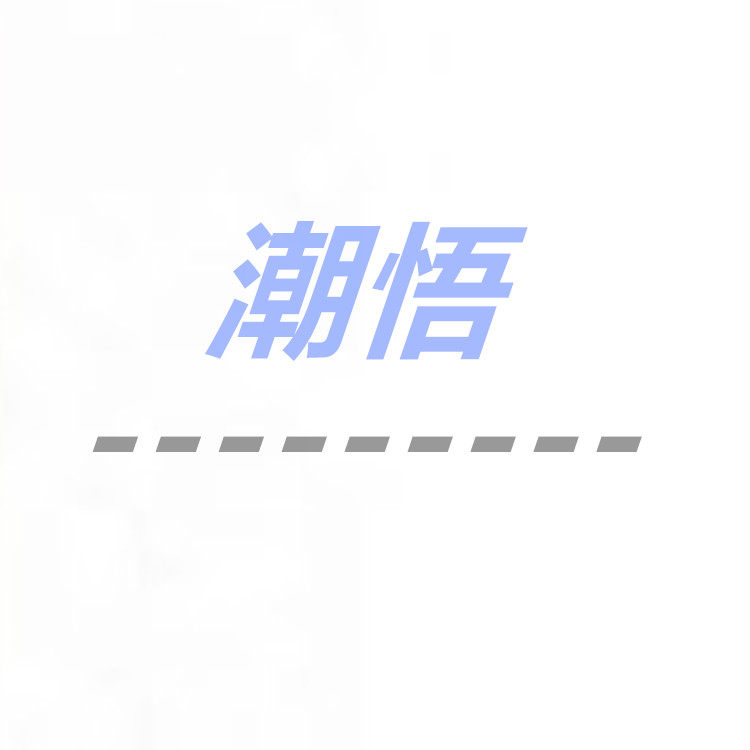 潮悟数码
