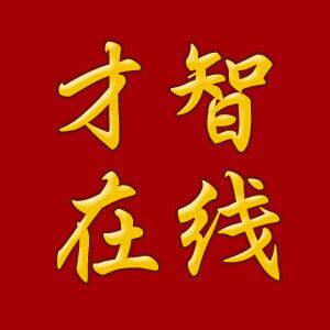 才智服装制版服装打版教程 店铺LOGO