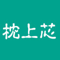 枕上芯 双人枕套专家logo