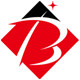 秉泰旗舰店 店铺LOGO