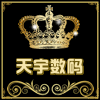 天宇数码2015 店铺LOGO