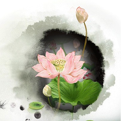 莲馨创意精品