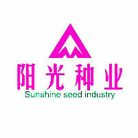 江苏阳光遮阳网