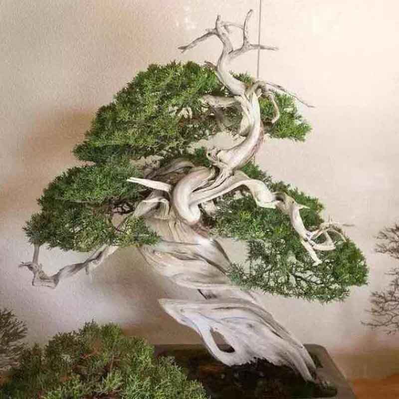 柏来崖根雕厂