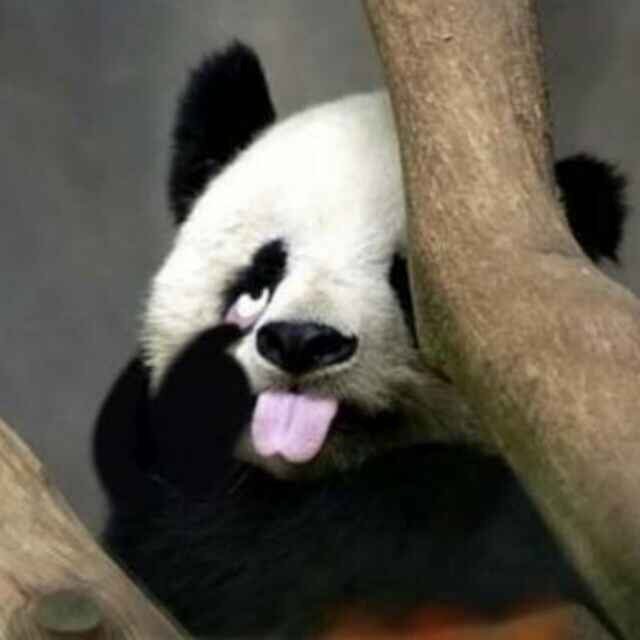 QM油漆辅料经营部