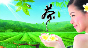 闽茶舍 店铺LOGO