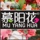 慕阳花品牌内衣2号店 店铺LOGO