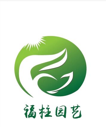 福柱多肉