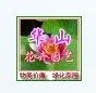 华山园艺 静待花开