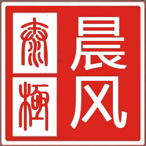 陈家沟晨风太极服