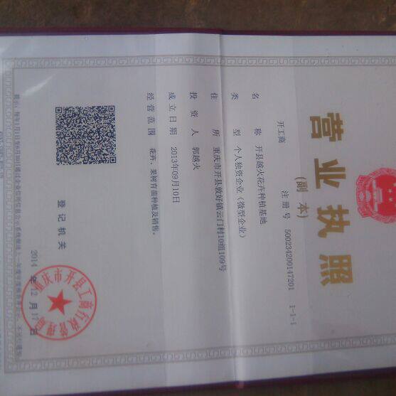 越火花卉正品直销