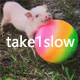 take1slow