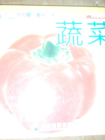 政涵公爵