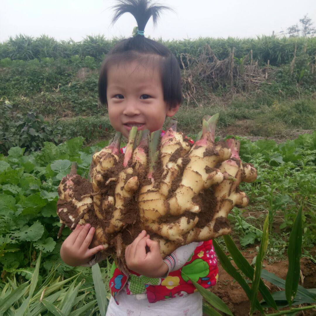 寒耕暑耘