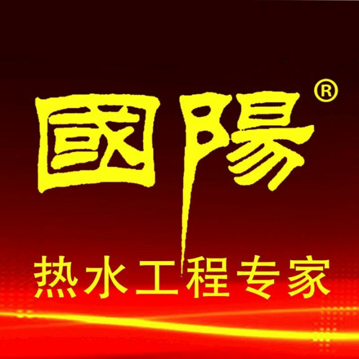 国阳新能源