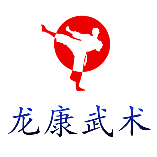 龙康武术