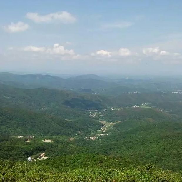花样年华植物园