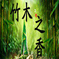 竹木之香 店铺LOGO