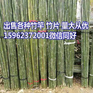 竹片竹竿出售
