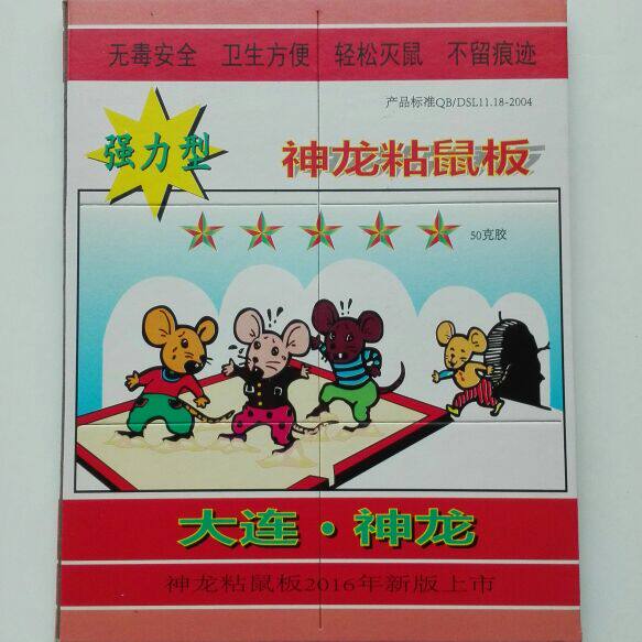 大连神龙 店铺LOGO