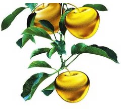 果农之家001