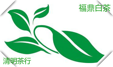 鼎贝白茶