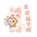 左边袜子铺