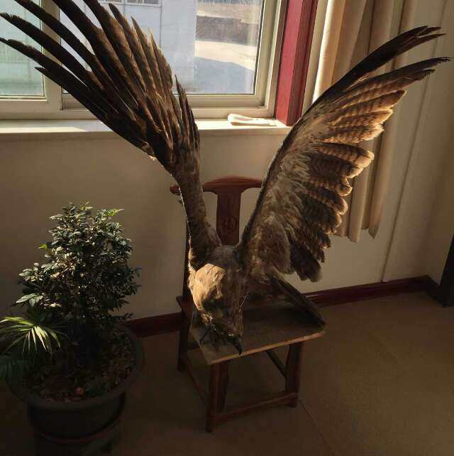 红红火火包装
