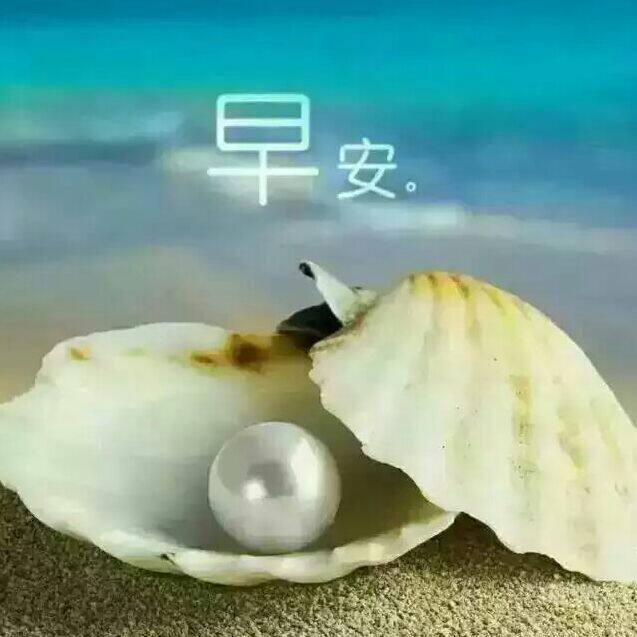 苏州美美