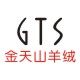 gts旗舰店