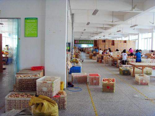 启力玩具工厂店