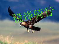 锐锋骑行