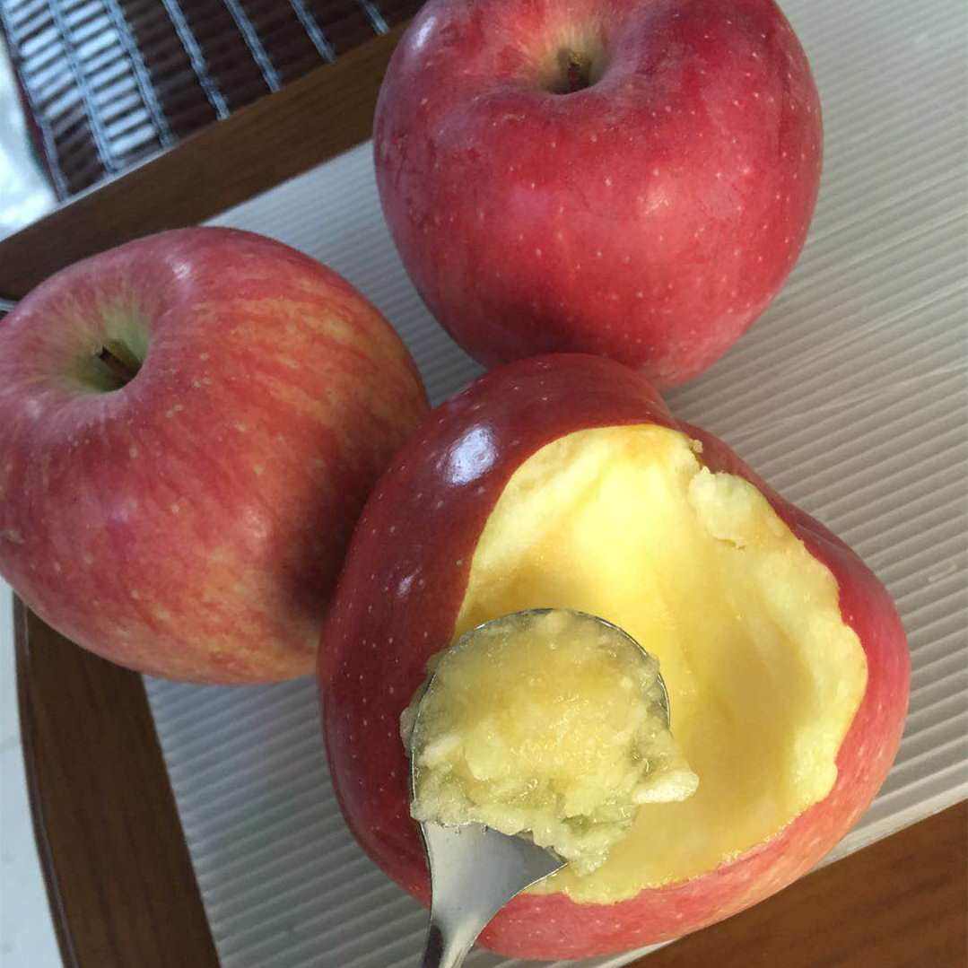 陕西永兴白水苹果