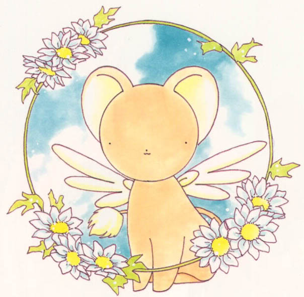 漫天樱花K