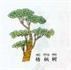 黛慕鸟女包工厂店