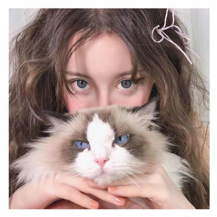 猫小姐的鞋柜