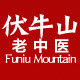 伏牛山老中医