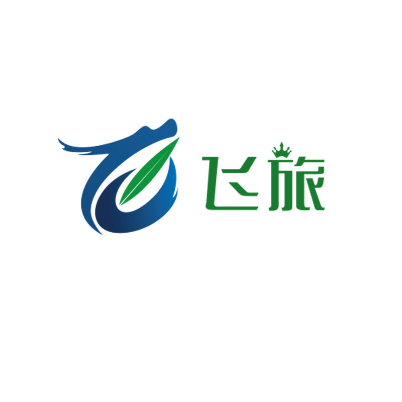 飞旅旗舰店 店铺LOGO