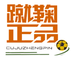 蹴鞠正品