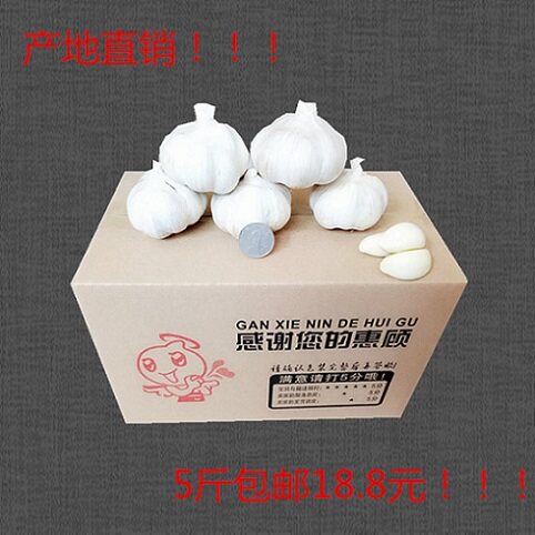 这波蒜我亏