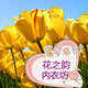 花之韵内衣坊