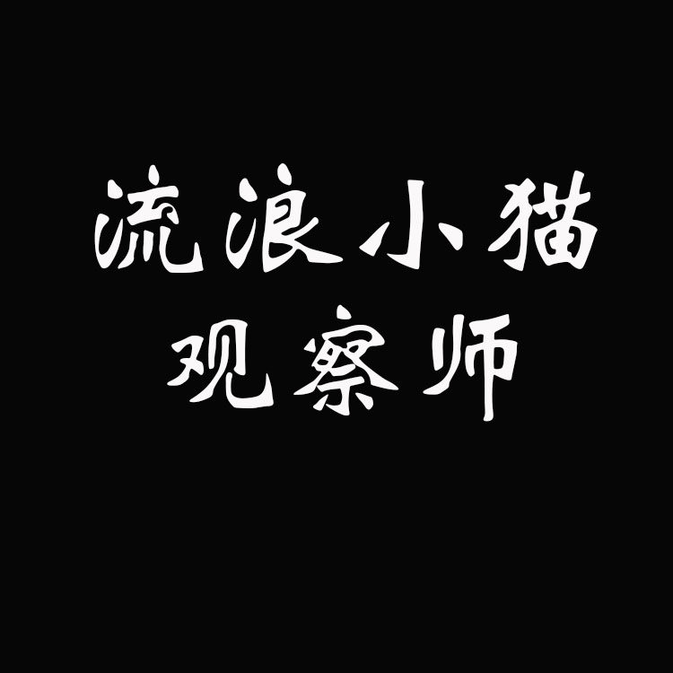 流浪小猫观察师