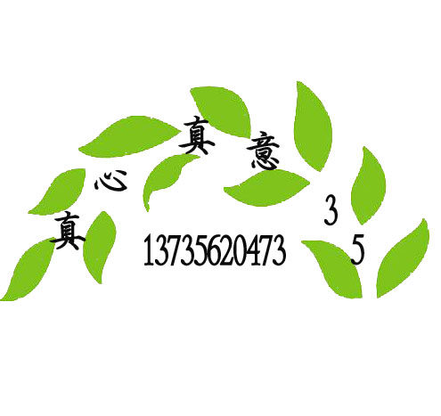 真心真意35