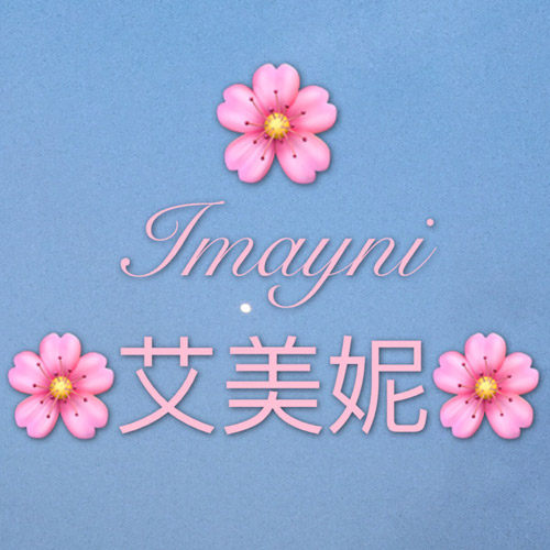 艾美妮女装店