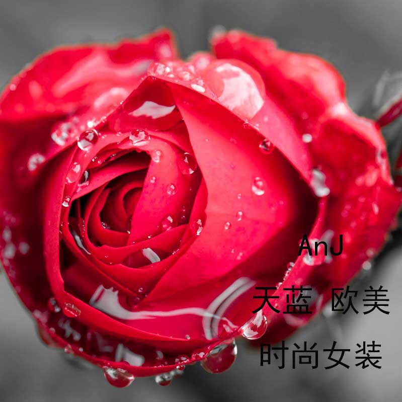 AnJ 天蓝 欧美 时尚女装
