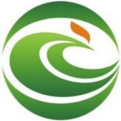 嘉伦微芯 店铺LOGO