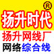 广州扬升电子厂 电脑周边配件 线材 4芯 网线 批发工厂直批