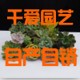 千爱花盆厂家批发