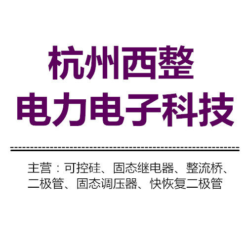 杭州西整电力电子科技有限公司