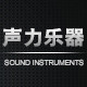 声力乐器专营店
